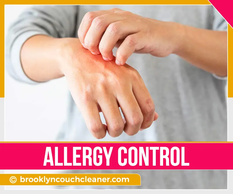 carpet cleaning in brooklyn, carpet cleaning in new york, carpet cleaning brooklyn, carpet cleaners in brooklyn, carpet cleaners in new york, commercial carpet cleaning, commercial carpet cleaning in brooklyn, brooklyn rug cleaners, rug cleaning services in brooklyn, same day carpet cleaning, same day rug cleaning